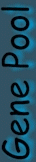 genepool.gif