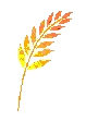 harvest.gif