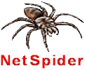 netspider.gif