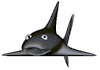 sharky.gif